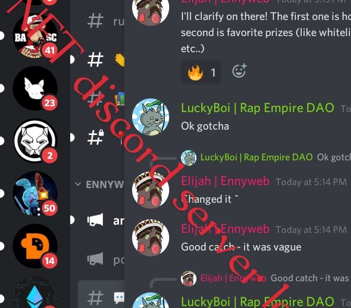 NFT discord server level ,discord whitelist,discord chat