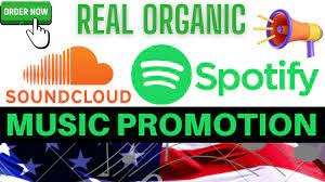 I will promote spotify music through organic campaign setup