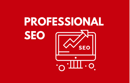 Professional Search engine optimization (SEO) your website  by Saeed Samaeinasab