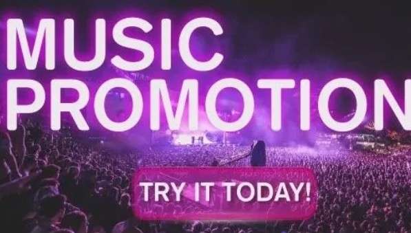 I will do organic worldwide music platforms promotion