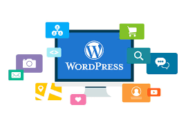 Website design and WordPress developer