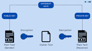 I will do Cryptography Encryption