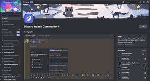 I will Professional Discord Server Setup