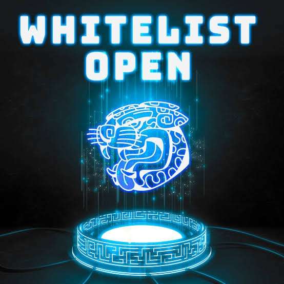 Nft discord whitelist