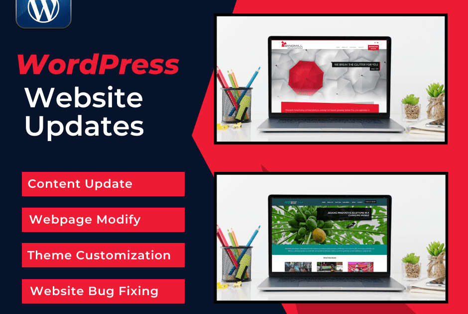 I will fix wordpress issues bug fixing website content update