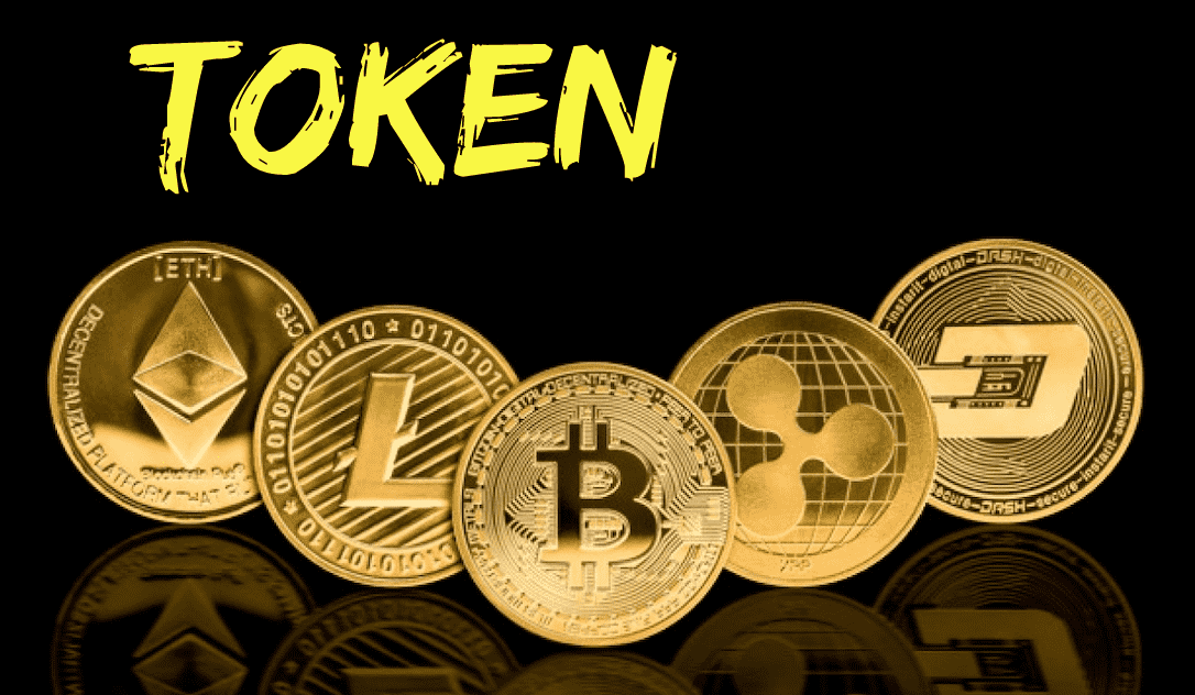 I will create your token and register it and launch presale.