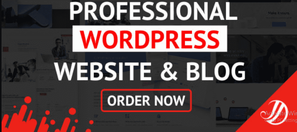 I will build a luxury and premium website for you