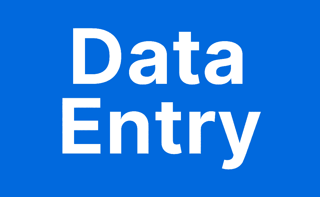 I will do fast and accurate data entry or typing work