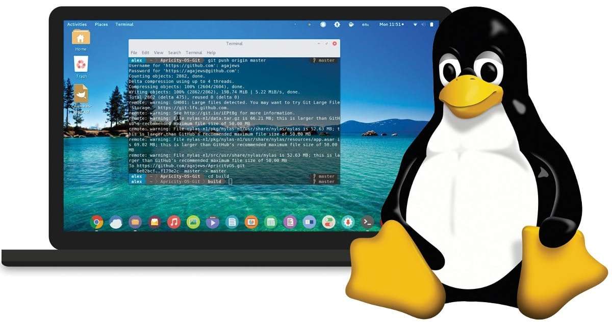 setup and secure linux server
