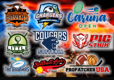 I will design baseball, basketball, football, hockey sports logo