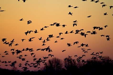 I Will Migrate Your App to a Scalable Architecture
