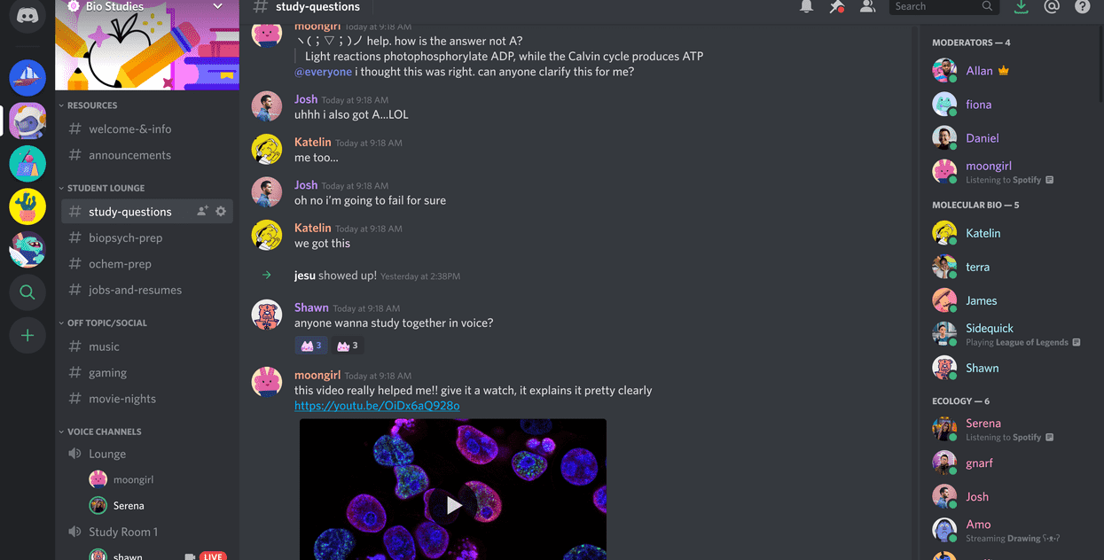 i will do madsive nft discord server promotion