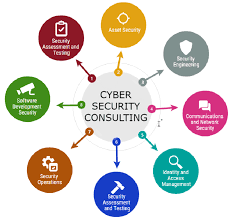 I will provide Cyber Security Consulting
