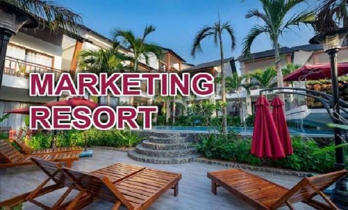 I will do hotel revenue management marketing service