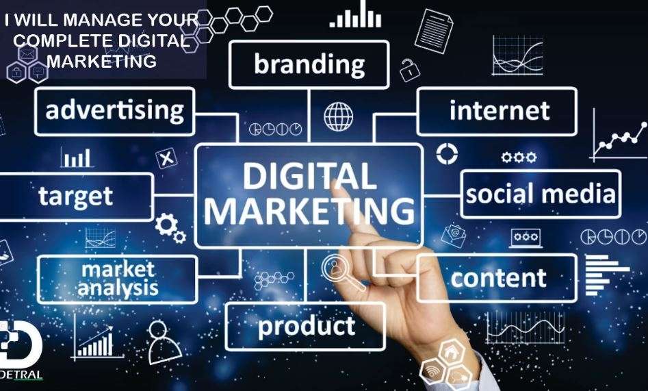 I will manage your digital marketing completely