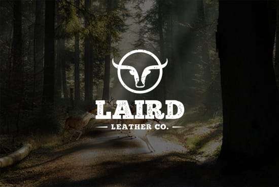 I will do modern minimalist logo design within 24 hours
