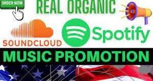 I will promote spotify music through organic campaign setup