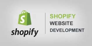 I will make your Shopify Store and API Integration