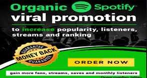 I will do organic promotion in our website for your spotify song