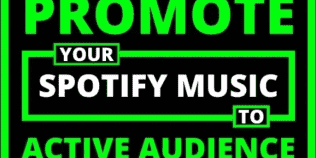 I will boost your spotify streams and monthly listiners