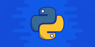 I can program in Python