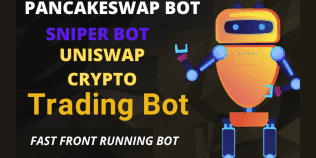 develop pancakeswap,sniper bot,uniswap, sandwich bot, frontrunner bot