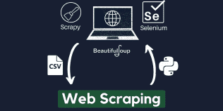 Web Scraping Expert