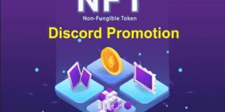 i will organically promote your discord or nft project via mass dm advertising