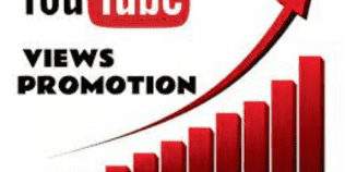 i will promote youtube channel video promotion
