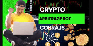 I will develop high frequency algo crypto trading bot, arbitrage trading bot