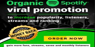 I will do organic sportify music, apple, audiomark, itunes, soundcloud music promotion