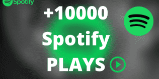 Get +10000 Spotify ORGANIC Plays From HQ Account of USA or A+ Country CA/EU/AU/NZ/UK. Permanent Guaranteed