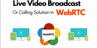 You will get a CUSTOM Live Video Broadcasting/Calling Solution based on WebRTC