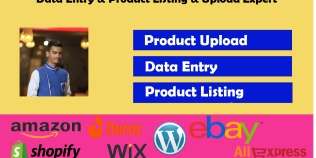 I will upload products or upload content ecommerce, shopify, etc