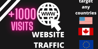 GET +1000 Website Organic Traffic [FAST SERVICE]