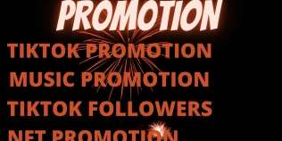 I will do tiktok promotion, tiktok followers, tiktok growth, tiktok followers, tiktok viral video,