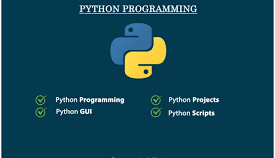 I will write your python scripts most efficiently