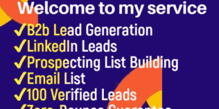 I will b2b lead generation, targeted email list prospecting