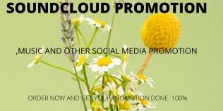 I will do soundcloud music promotion for all genres