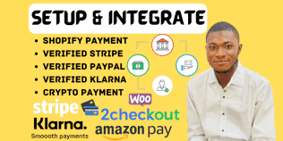 I will setup and integrate shopify payment gateway, verified klarna, stripe, paypal
