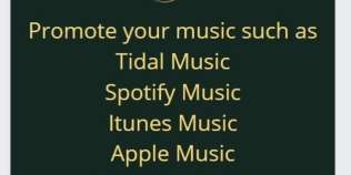 I will do tidal music promotion, Spotify streams and Apple Music promotion