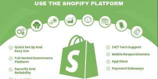 I will build a modern shopify website ecommerce website and design