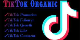 I will grow and promote your Tiktok account organically