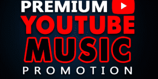 I will do premium youtube music video promotion