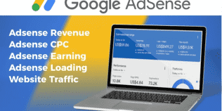 i will increase your google adsense revenue, cpc, earning, loading and website traffic
