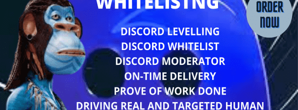 I will do nft discord, whitelist, levels, invites