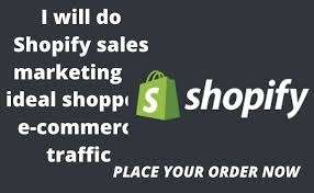 I will do shopify, etsy, store promotion to get sales