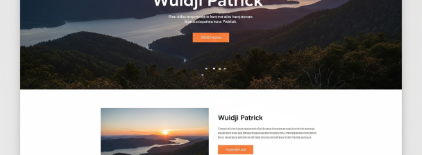 I will create a simple and professional website using AI tools