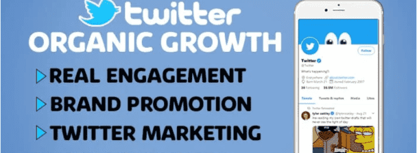 I will do fast organic twitter growth and nft promotion