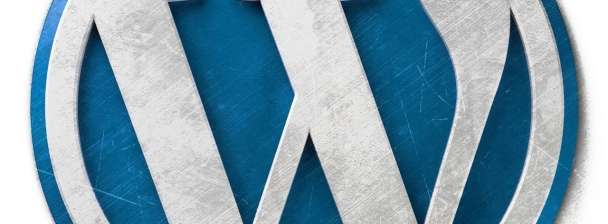 I will create low cost good quality WordPress websites for any business big or small
